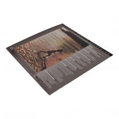 Mobile Fidelity MFSL MFSL Collectors: 1982 Mobile Fidelity Jackson Browne The Pretender LP #1-055