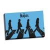 Steiner Sports Beatles Collectible Abbey Road LP Blue Silhouette Zebra Graphic Stretch Canvas 24x36 Beatles, The